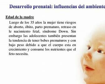 INFLUENCIAS EN EL DESARROLLO PRENATAL