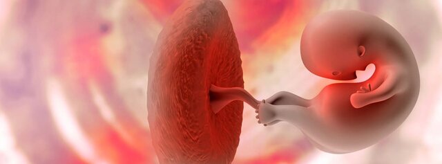 Primer mes de Gestación Prenatal