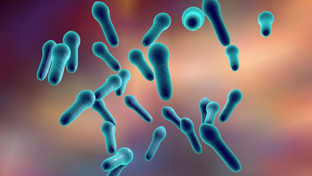16. TEORIA MICROBIANA