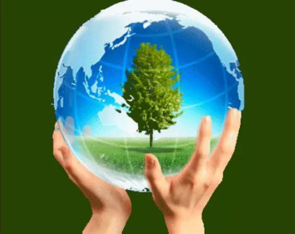 Francia se introduce a la EIA