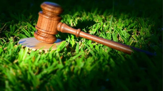 Aprobación del reglamento para la aplicación de las disposiciones de procedimiento de la N.E.P.A.