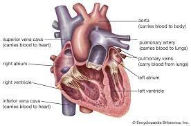 21st Century – Top 10