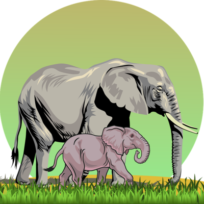 Timeline: Historia de la Zoologia