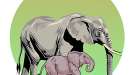 Timeline: Historia de la Zoologia