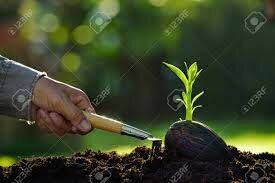 ¿LA TRÍADA DE ENFERMEDAD  EN LA FITOPATOLOGÍA?