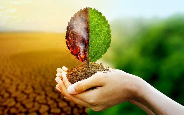 10. Otras nociones de causa