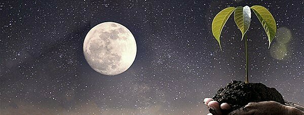 Teoría Cósmica o Sideral