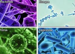 La teoría microbiana sin Pasteur y Koach