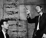 Francis Crick and James Watson