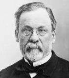 Louis Pasteur