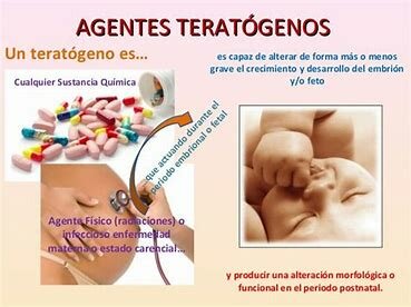 TERATÓGENOS Y SUS EFECTOS
