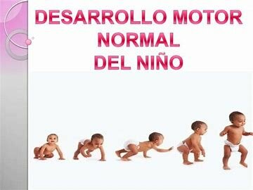CARACTERÍSTICAS DEL DESARROLLO NEONATAL
