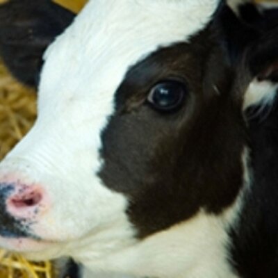 Timeline: LINEA DEL TIEMPO BYRON