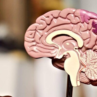 Timeline: Actividad 1. Línea del tiempo "Neuropsicología clínica"