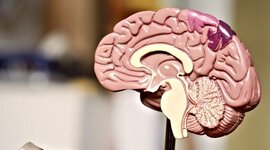 Timeline: Actividad 1. Línea del tiempo "Neuropsicología clínica"