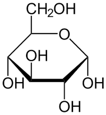 Formación de lactato a partir de glucosa