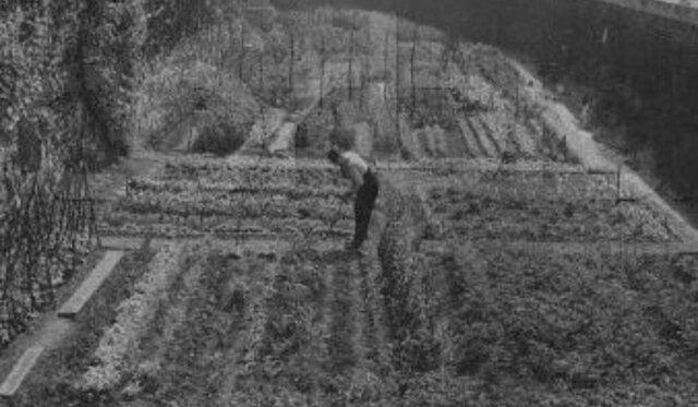 Durante la segunda guerra mundial