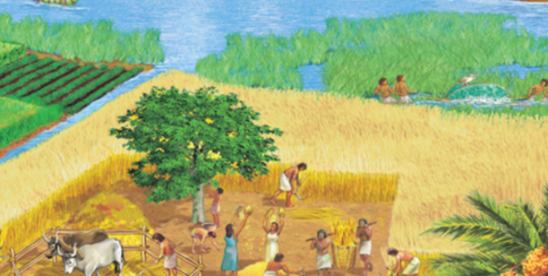 3000 a. C. Agricultores egipcios