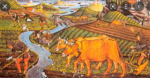 Edad media siglo V Y XV, Creación de fondos Erancs, sunedrias y collegias.