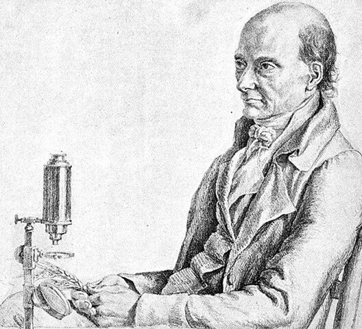 11. La teoría microbiana sin Pasteur y Koch.