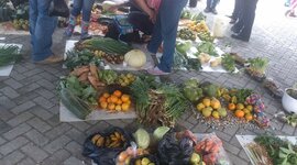 Timeline: MERCADOS CAMPESINOS Y FERIAS DE EMPRENDIMIENTO HECHOS PARA ELCAMBIO