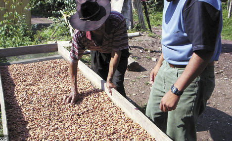 2006, 12 organizaciones campesinas crean movimiento