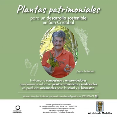 Timeline: PLANTAS PATRIMONIALES PARA UN DESARROLLO SOSTENIBLE EN SAN CRISTOBAL (MEDELLIN)