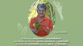 Timeline: PLANTAS PATRIMONIALES PARA UN DESARROLLO SOSTENIBLE EN SAN CRISTOBAL (MEDELLIN)