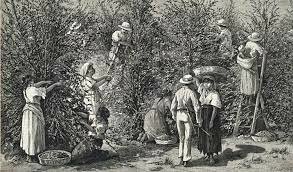 Surgimiento de guerrillas