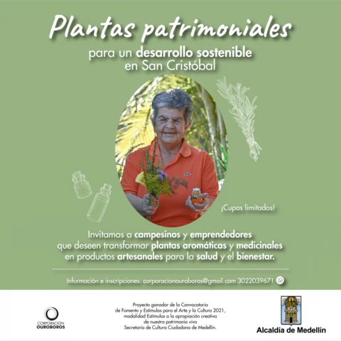 transformacion plantas aromáticas y medicinales ,en productos artesanales para la salud y el bienestar.