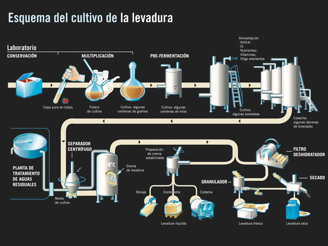 Biorreactores para la Producción de Levaduras