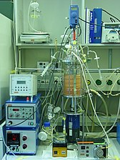 Biorreactores Aeróbicos