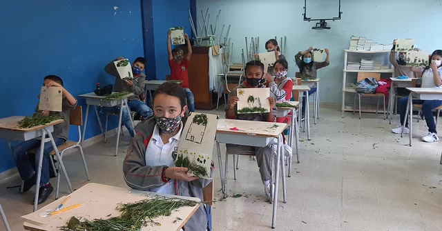 proceso de sensibilización