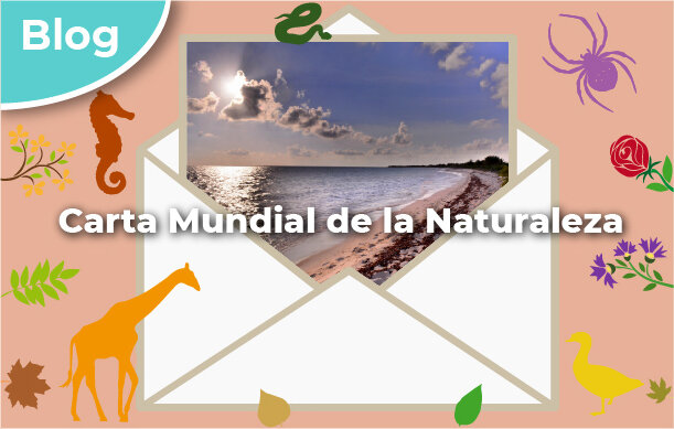 Carta mundial de la Naturaleza