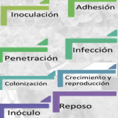 Timeline: Teoría de las Enfermedades Jennifer Escobar Herrea