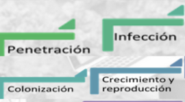 Timeline: Teoría de las Enfermedades Jennifer Escobar Herrea