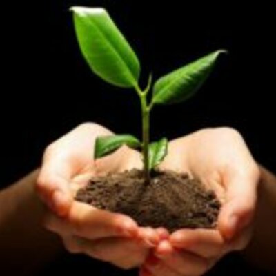 Timeline: tiempos de mi vida