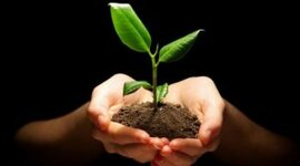 Timeline: tiempos de mi vida