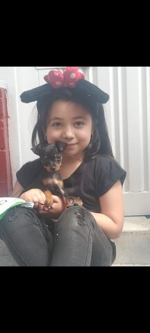 Dia que fallecio mi abuelito