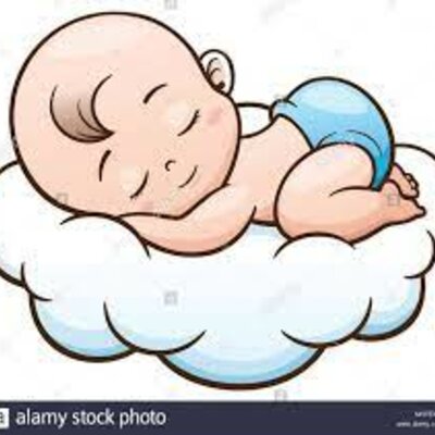 Timeline: biografia sebastian beltran