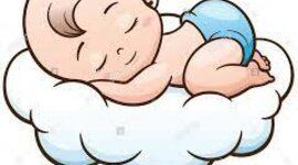 Timeline: biografia sebastian beltran