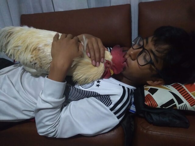 Me regalaron mi mascota