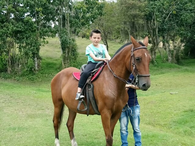 Mi primera vez montando en un caballo