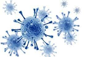 Discovery of HIV (Human Immunodeficiency Virus)