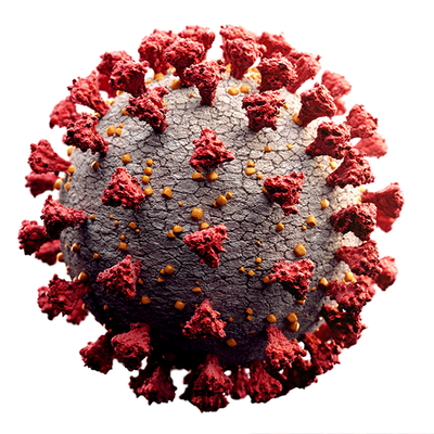 Timeline: Origen de las enfermedades