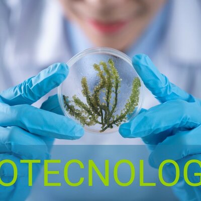 Timeline: Evolución de la Biotecnología (Saquilan Aylen, Aballay Paula)