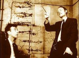 20th Century (continued)