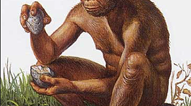 Timeline: Historia de la Ergonomía