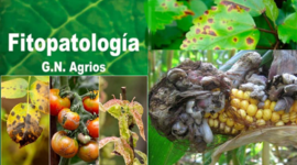 Timeline: origen de la enfermedad y originalidad de los fitopatógenos - Orlando Quinayás