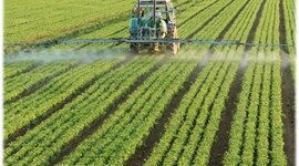 Timeline: DERECHO AGRARIO